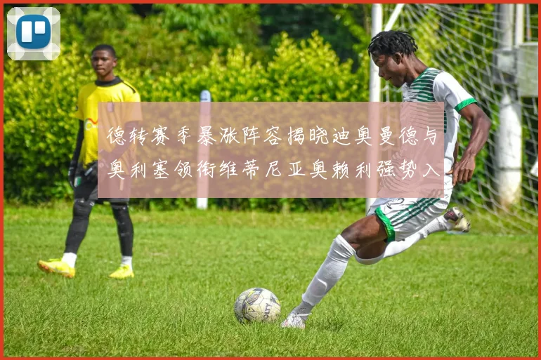 德转赛季暴涨阵容揭晓迪奥曼德与奥利塞领衔维蒂尼亚奥赖利强势入选
